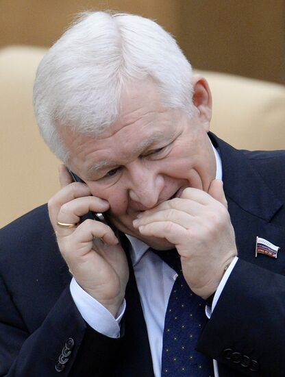 State Duma plenary meeting