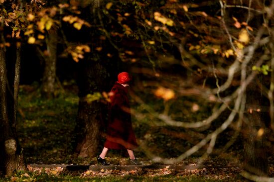 Golden autumn in Veliky Novgorod