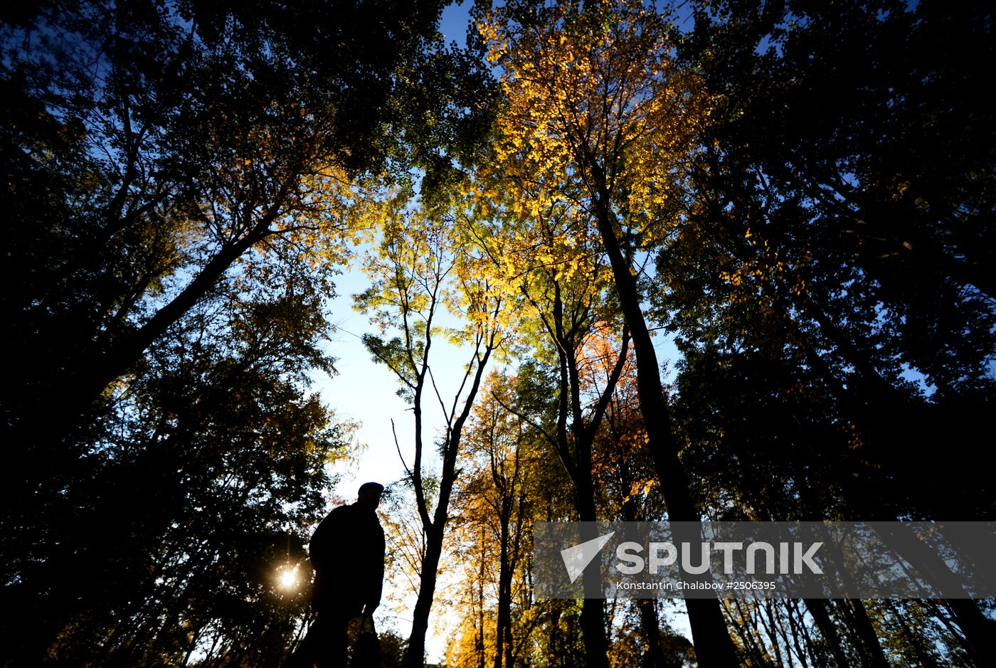 Golden autumn in Veliky Novgorod