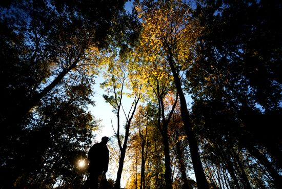 Golden autumn in Veliky Novgorod