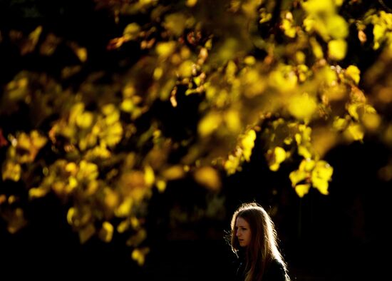 Golden autumn in Veliky Novgorod