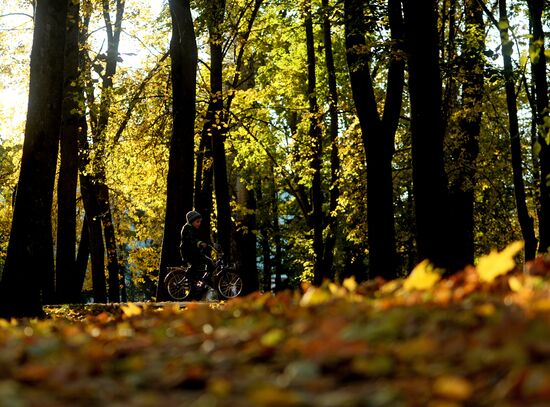 Golden autumn in Veliky Novgorod
