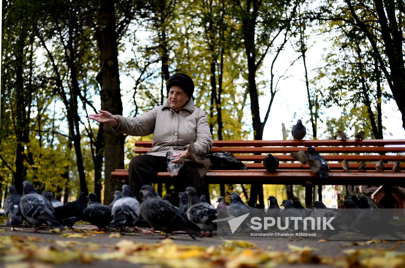 Golden autumn in Veliky Novgorod