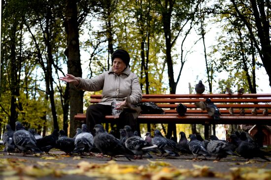 Golden autumn in Veliky Novgorod