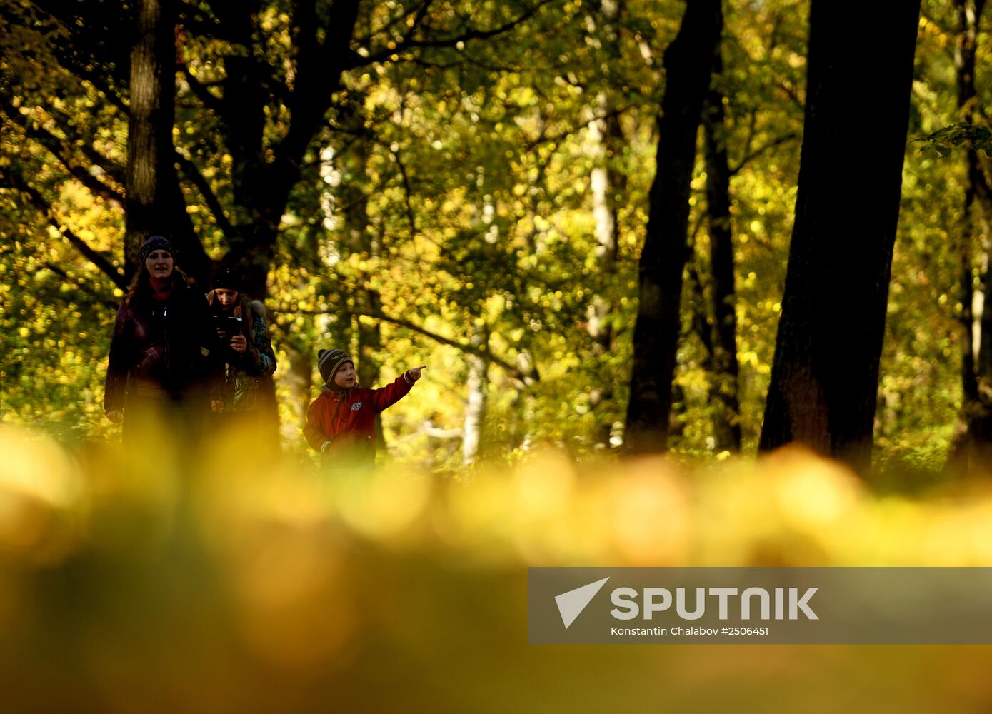 Golden autumn in Veliky Novgorod