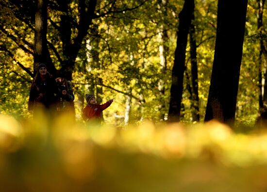 Golden autumn in Veliky Novgorod