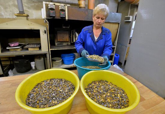 Recycling military equipment in Chelyabinsk Region