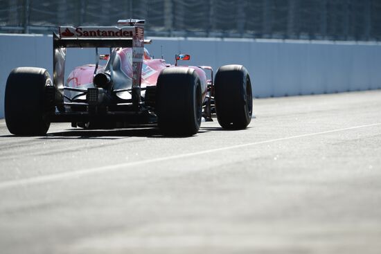 2014 Formula 1 Russian Grand Prix. Practice