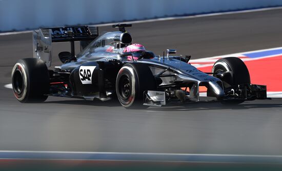 2014 Formula 1 Russian Grand Prix. Third free practice session