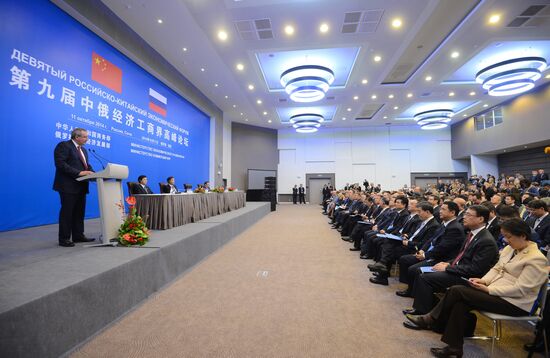 Dmitry Rogozin attends the Russian-Chinese Economic Forum