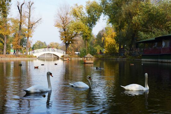 Autumn in Moscow