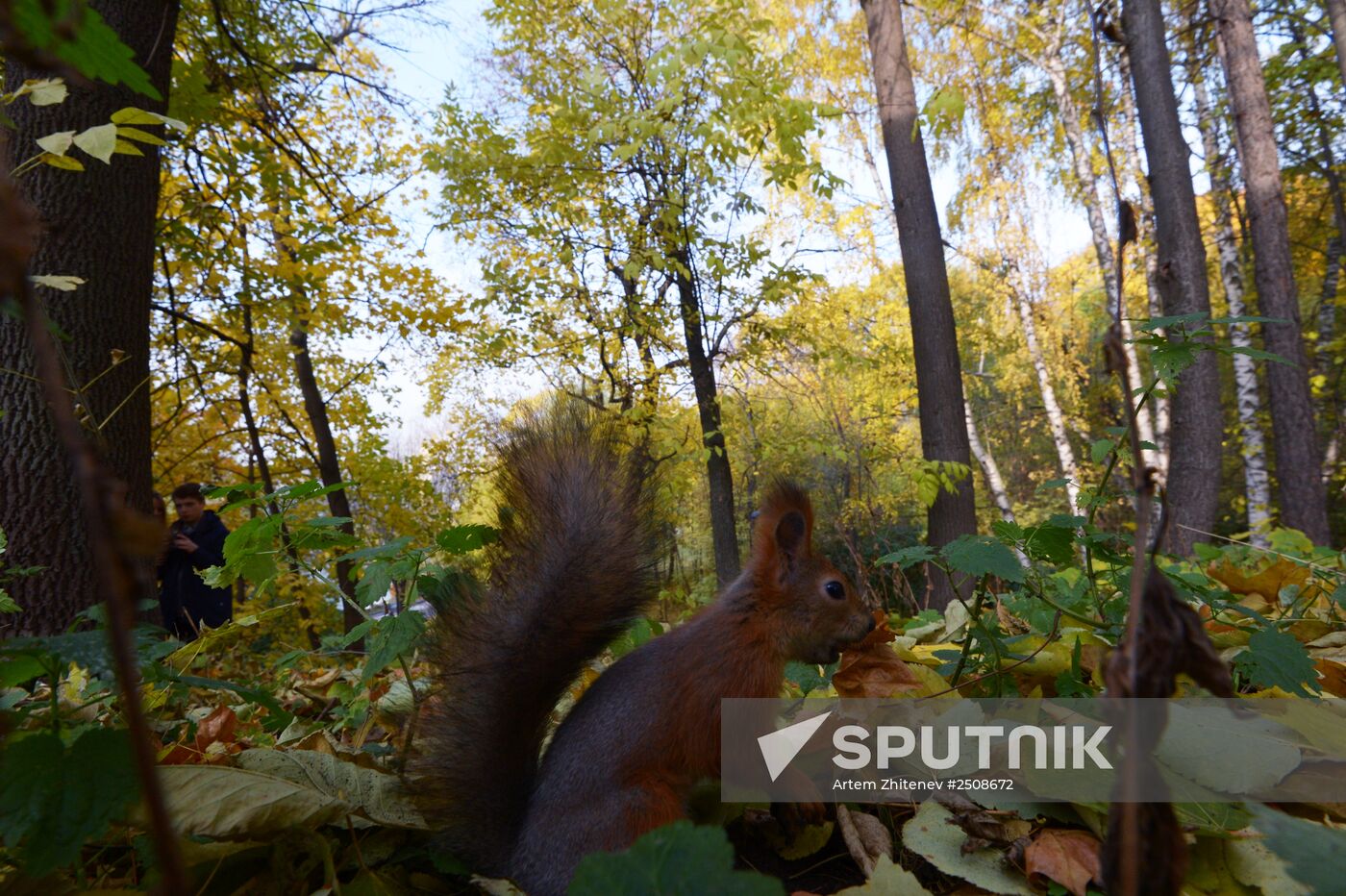 Autumn in Moscow