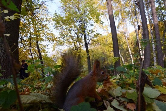 Autumn in Moscow