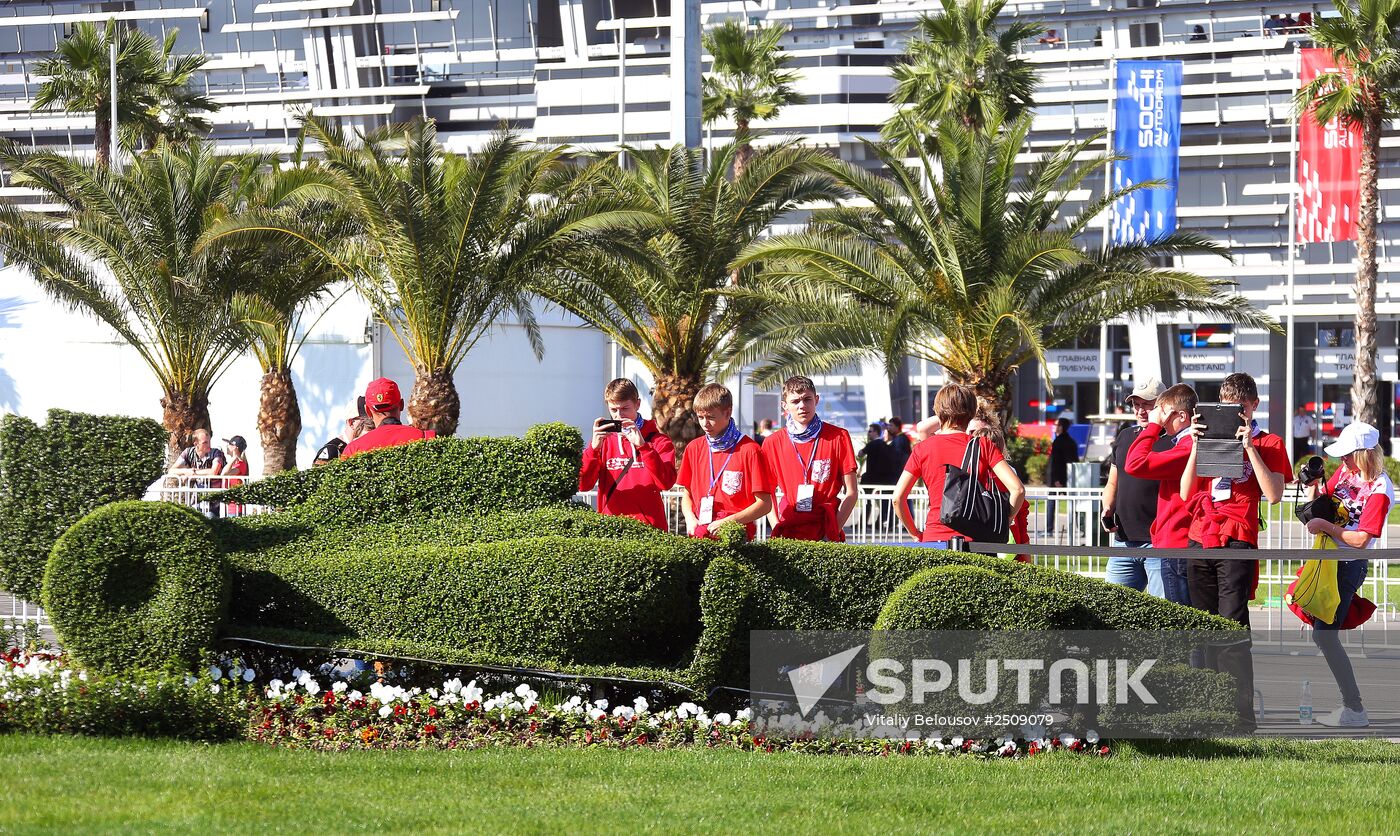 Motorsport. Formula One. Russian Grand Prix. Race