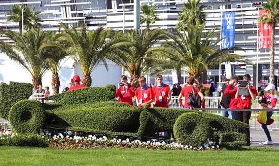 Motorsport. Formula One. Russian Grand Prix. Race