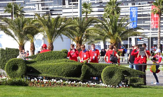 Motorsport. Formula One. Russian Grand Prix. Race