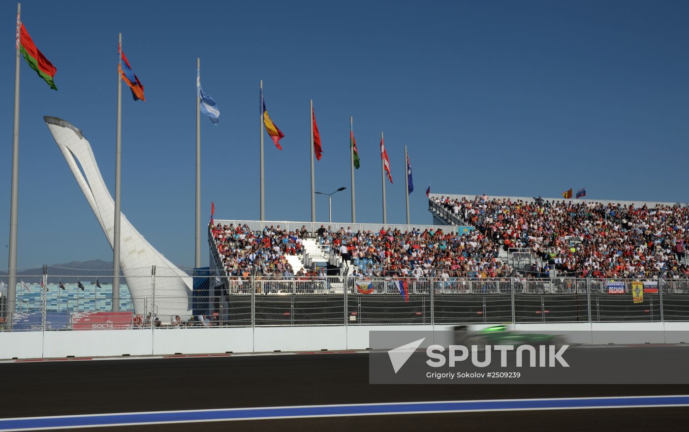 2014 Formula 1 Russian Grand Prix. Racing