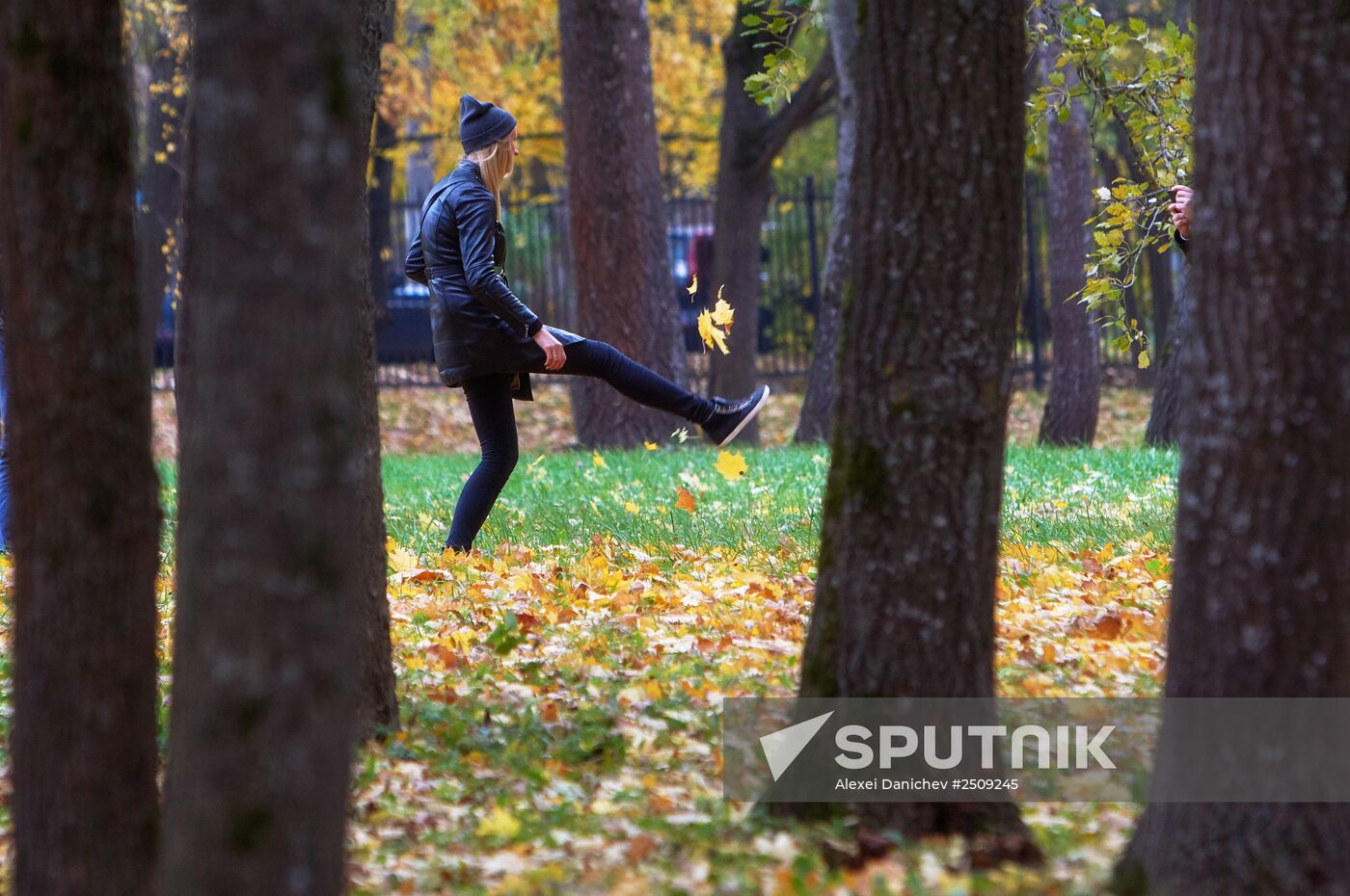 Fall in Oranienbaum