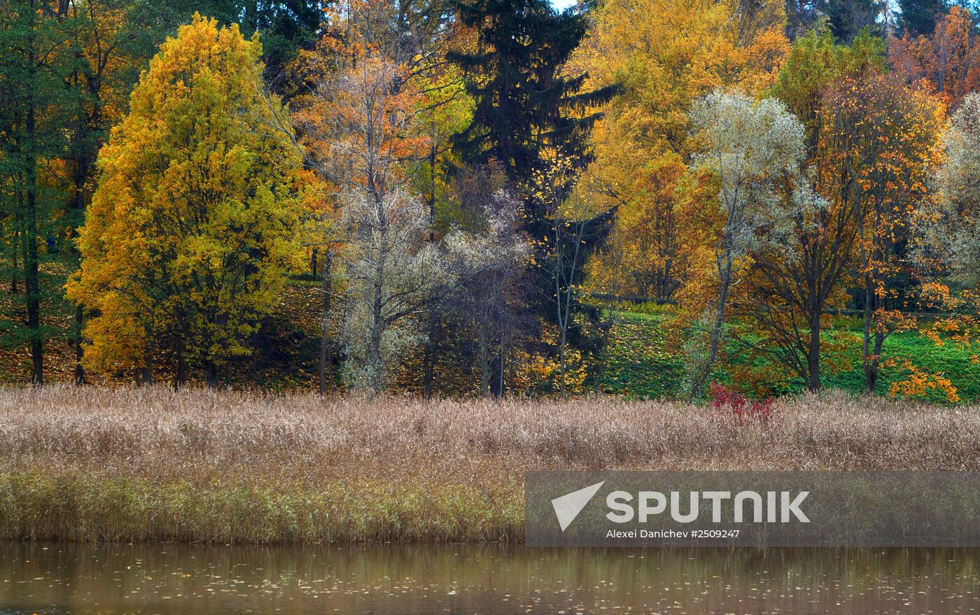 Fall in Oranienbaum