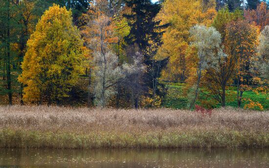Fall in Oranienbaum