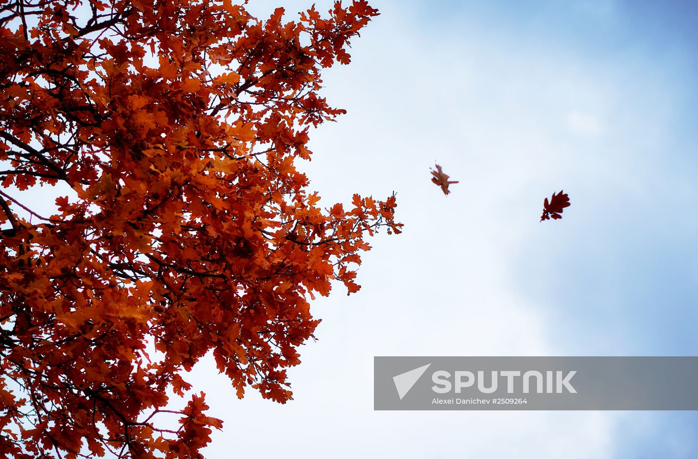 Fall in Oranienbaum