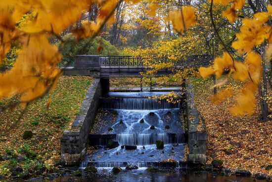 Fall in Oranienbaum