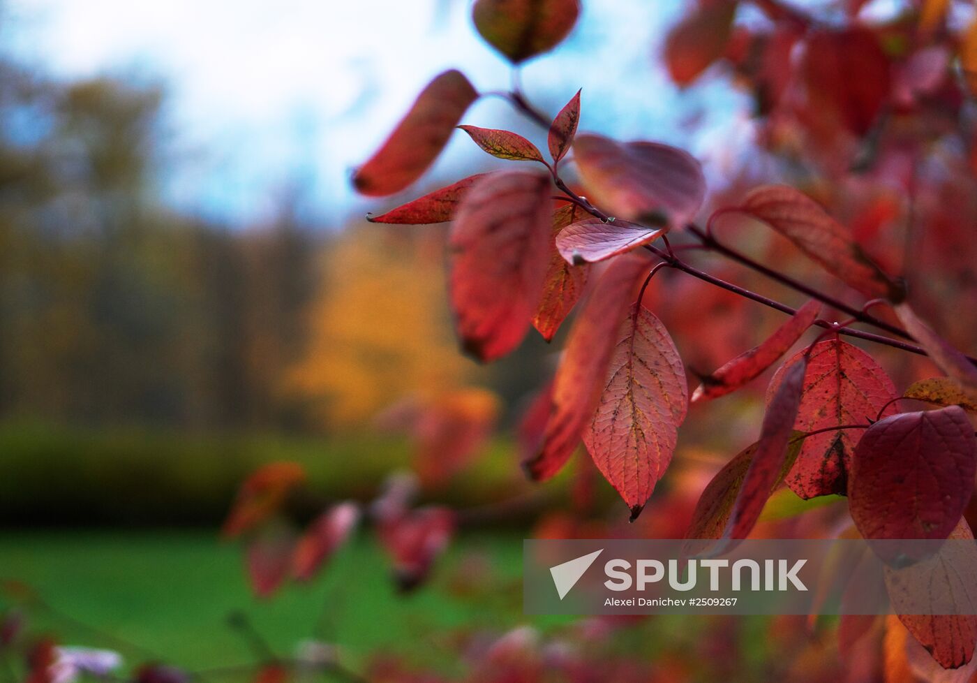 Fall in Oranienbaum