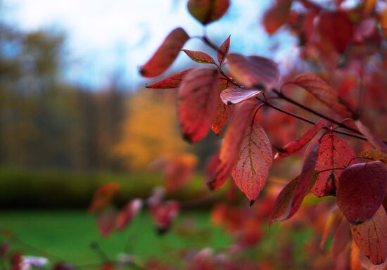 Fall in Oranienbaum