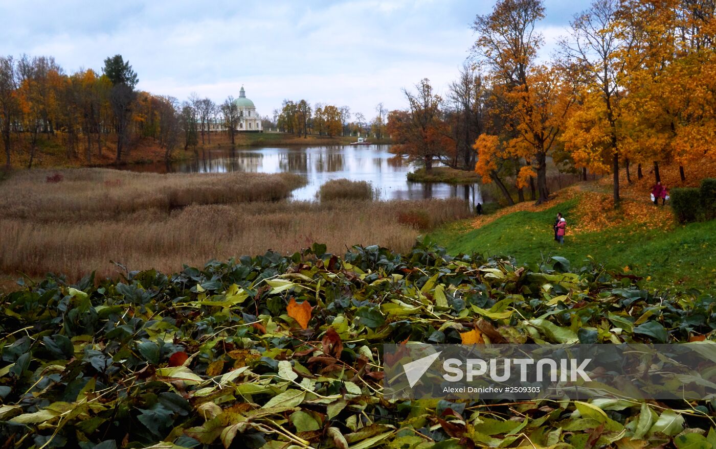 Fall in Oranienbaum