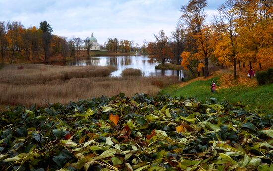 Fall in Oranienbaum