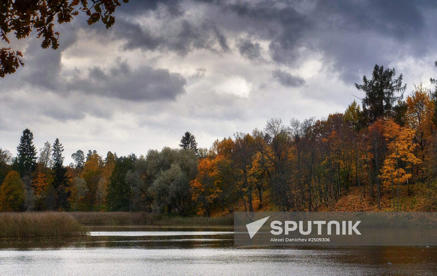 Fall in Oranienbaum