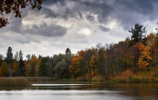 Fall in Oranienbaum