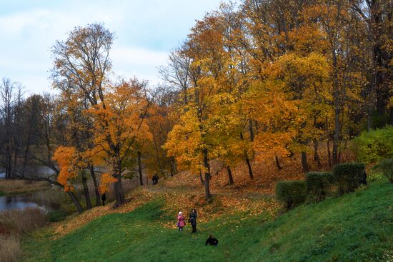 Fall in Oranienbaum