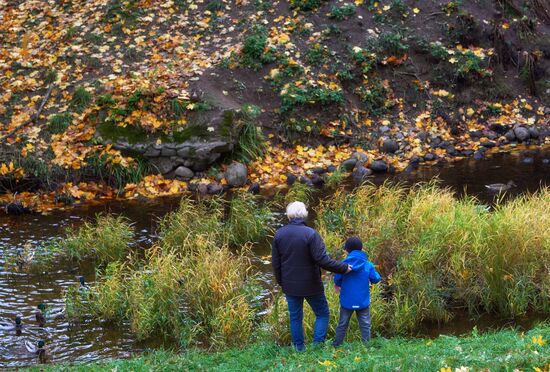 Fall in Oranienbaum