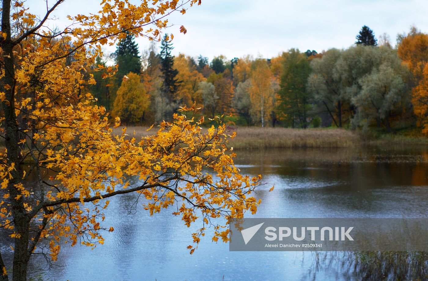 Fall in Oranienbaum