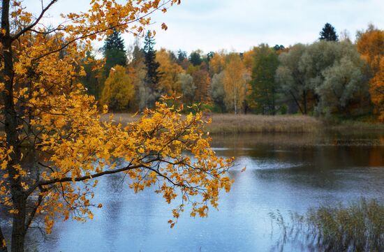 Fall in Oranienbaum