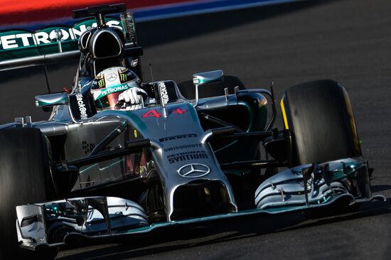 2014 Formula 1 Russian Grand Prix. Race