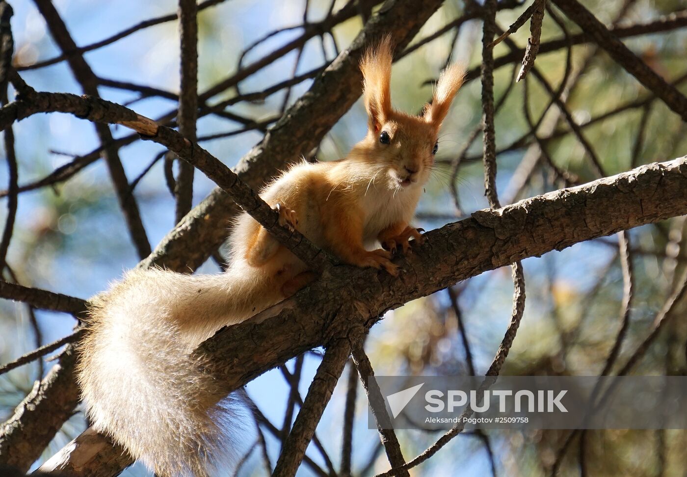 Autumn in Rostov-on-Don