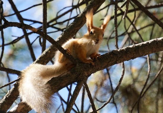 Autumn in Rostov-on-Don