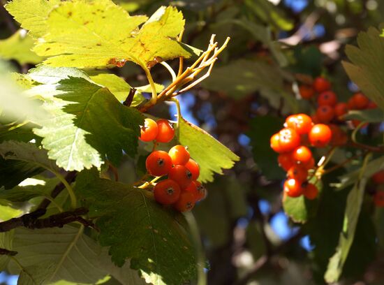 Autumn in Rostov-on-Don
