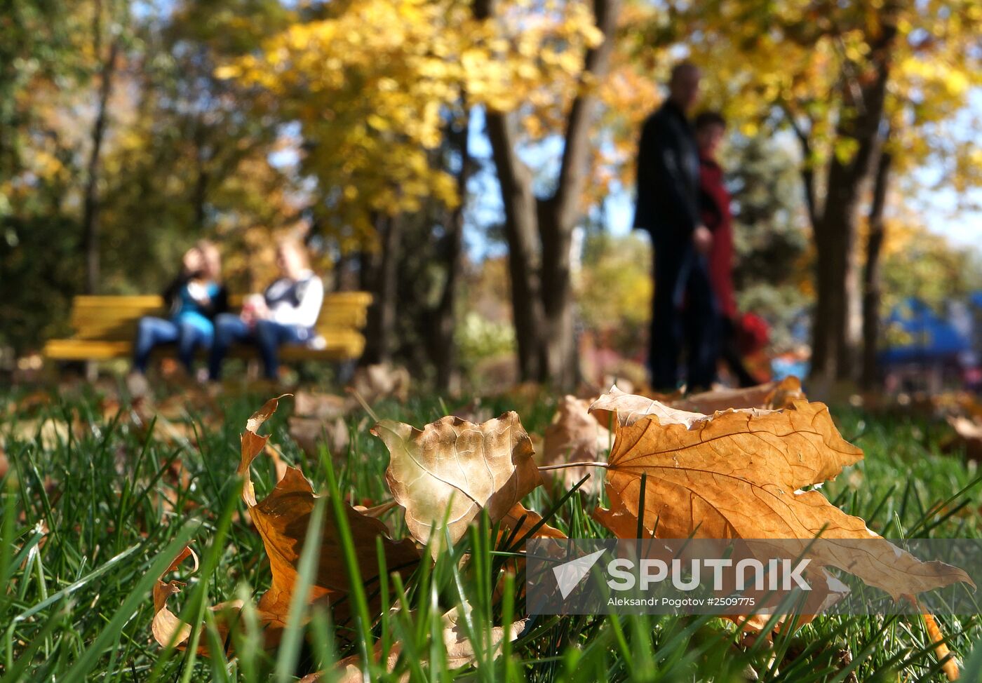 Autumn in Rostov-on-Don