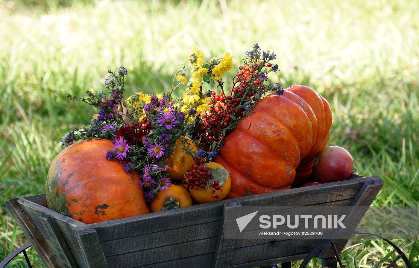 Autumn in Rostov-on-Don