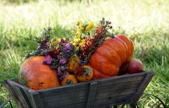 Autumn in Rostov-on-Don