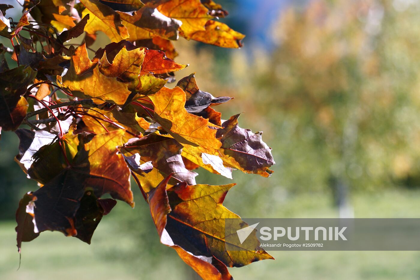 Autumn in Rostov-on-Don