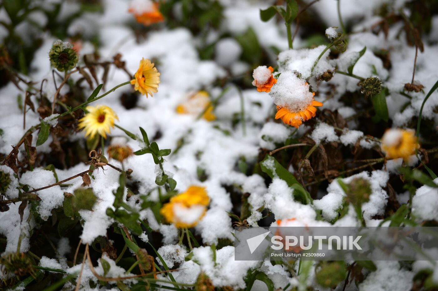 First snowfall in Yekaterinburg