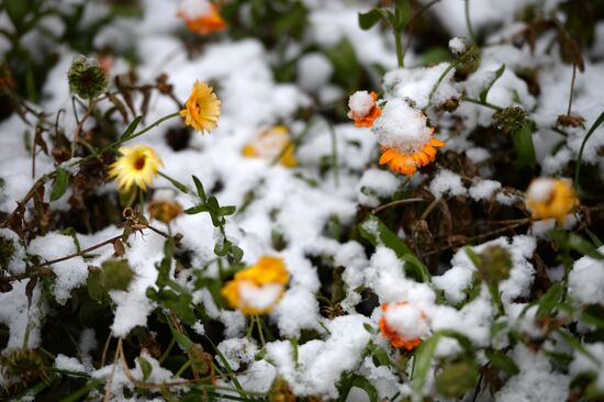 First snowfall in Yekaterinburg