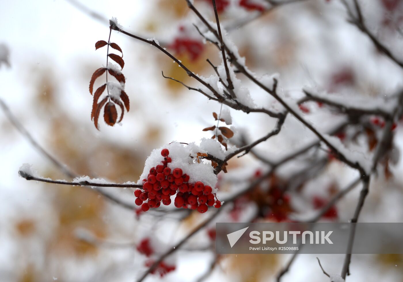 First snow in Yekaterinburg