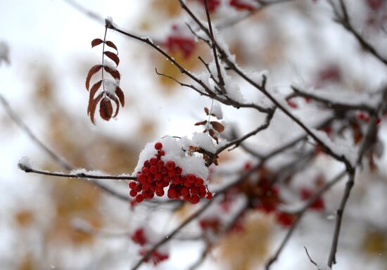 First snow in Yekaterinburg