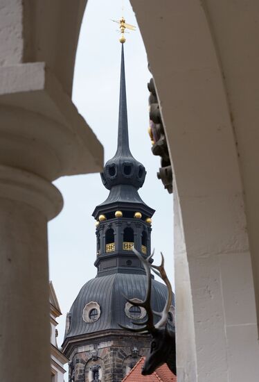 World cities. Dresden