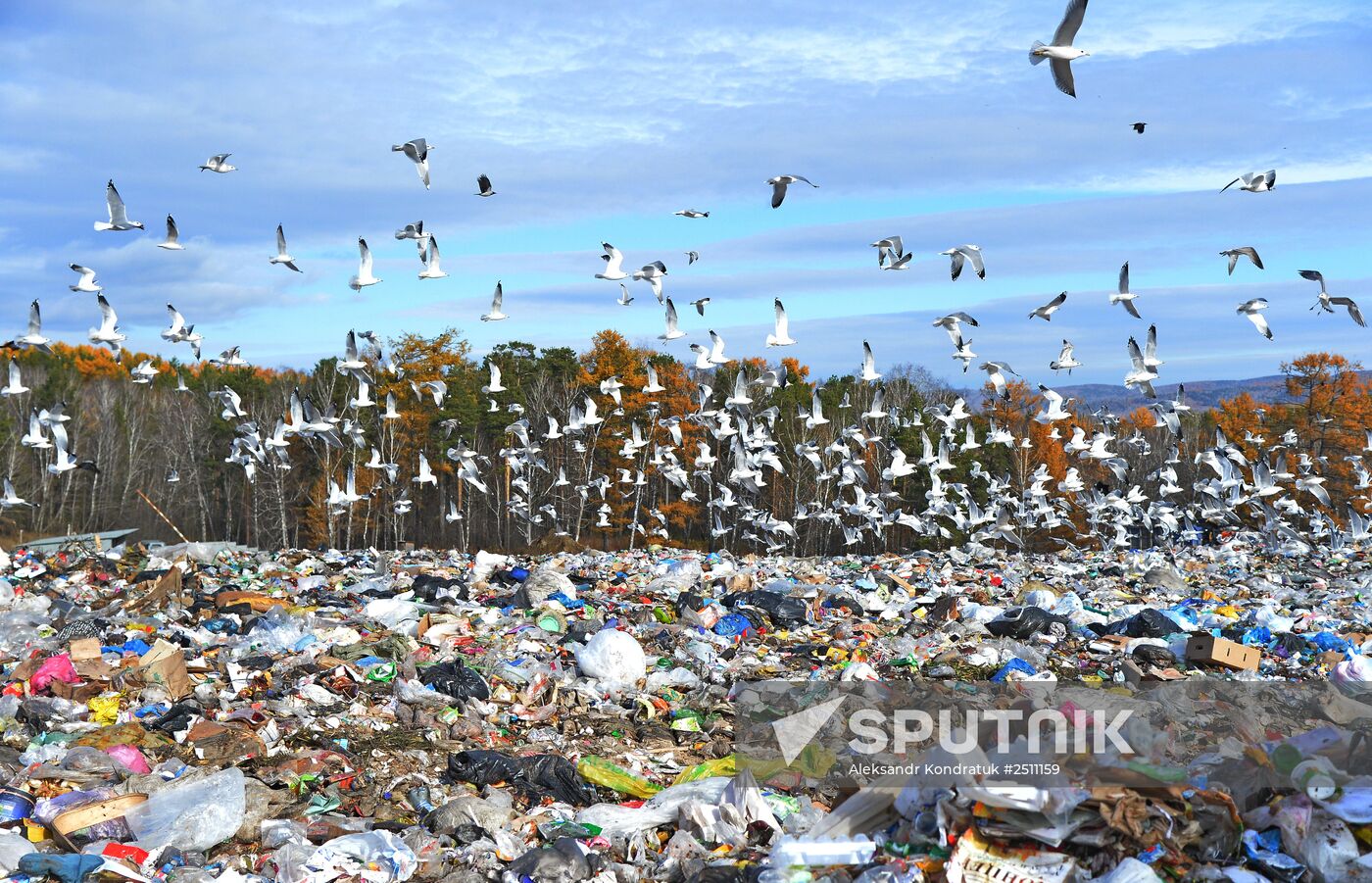 Sorting and recycling household waste in Chelyabinsk region